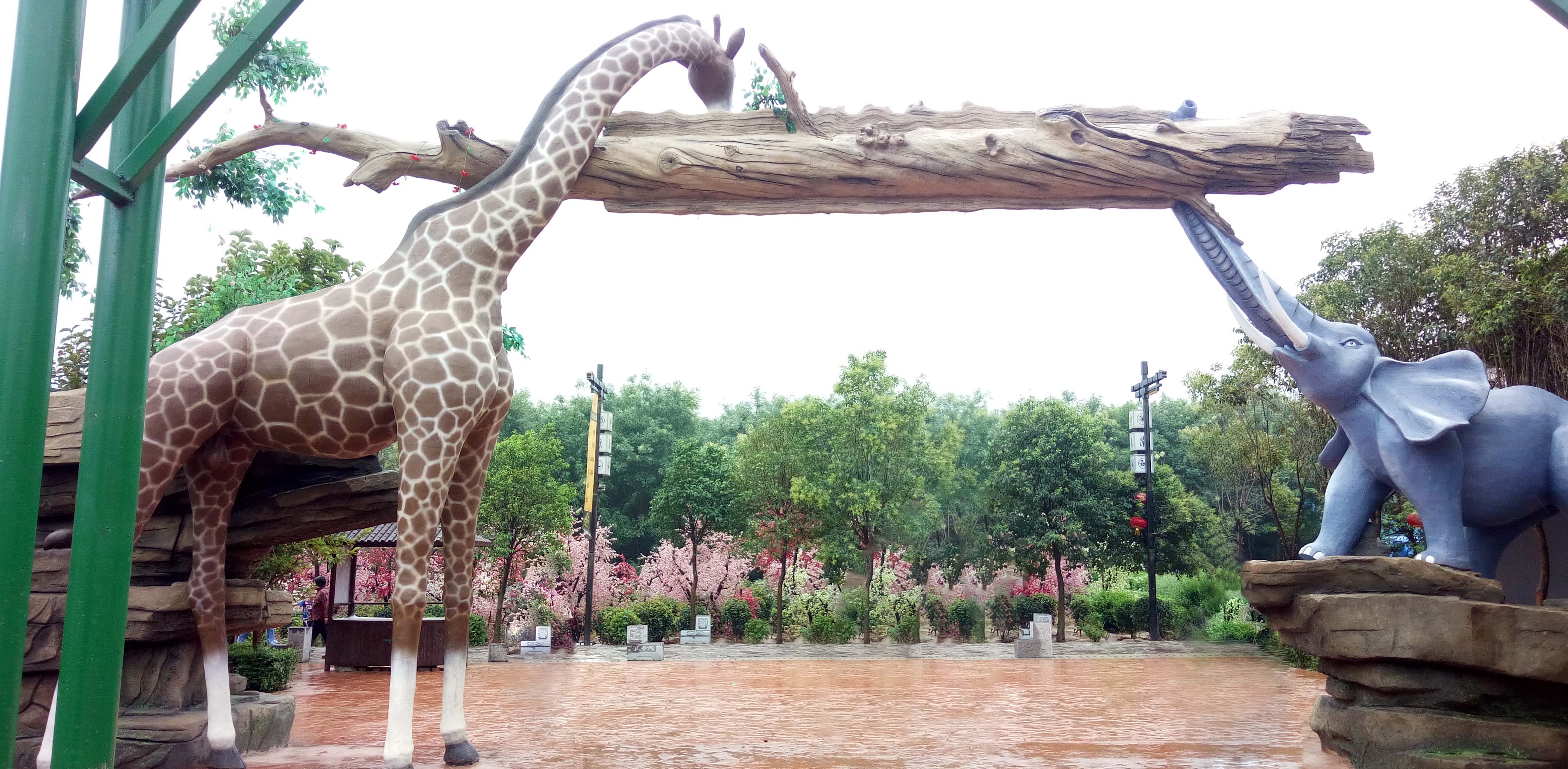 童趣 Safari・动物联萌